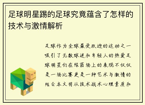 足球明星踢的足球究竟蕴含了怎样的技术与激情解析